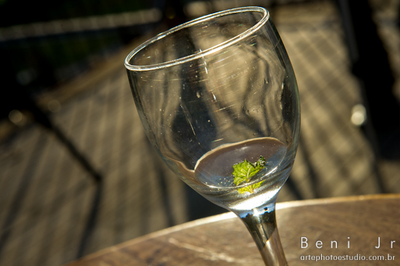 Foto: Beni Jr - www.artephotoestudio.com.br -