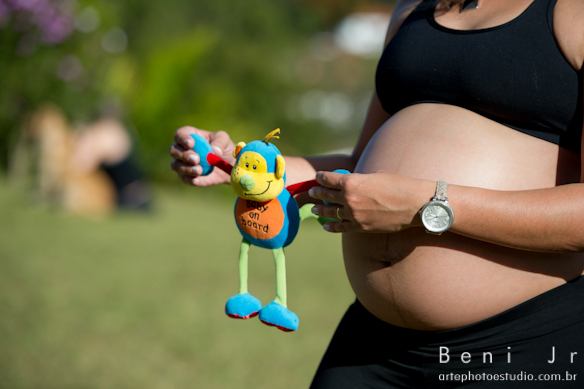 Foto: Beni Jr  -  www.artephotoestudio.com.br  -