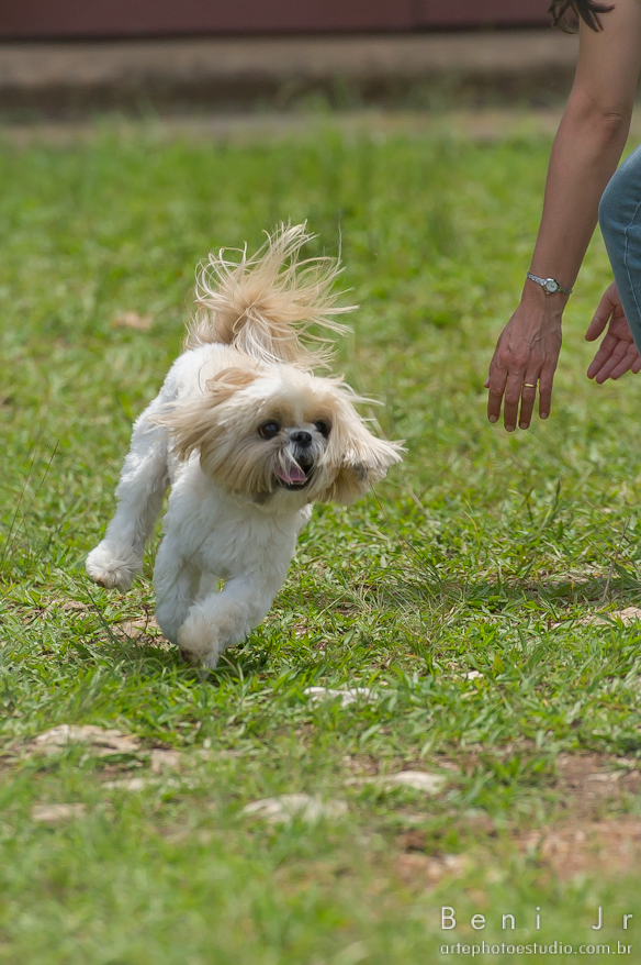 Foto: Beni Jr  -  www.artephotoestudio.com.br  -